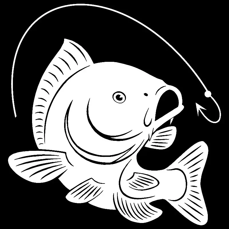 Sazan balıkçılık kanca çıkartm - Fishing Hook incelemesi ve fiyatı